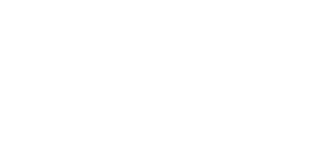 logo pulento